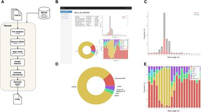 TEsmall Identifies Small RNAs Associated With Targeted Inhibitor Resistance in Melanoma